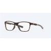 Costa Ocean Ridge 110 Matte Tortoise / Shiny Sand Frame Eyeglasses
