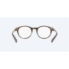 Costa Forest Reef 100 Shiny Cypress Horn Frame Eyeglasses
