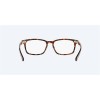 Costa Mariana Trench 100 Platinum Dust Tortoise Frame Eyeglasses