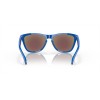 Oakley Frogskins Origins Collection Sunglasses Sapphire Frame Prizm Sapphire Lense