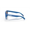 Oakley Frogskins Origins Collection Sunglasses Sapphire Frame Prizm Sapphire Lense