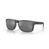Oakley Holbrook XL Sunglasses Steel Frame Prizm Black Polarized Lense