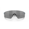 Oakley EVZero Blades Collection Sunglasses Sanctuary Swirl Frame Prizm Black Lense