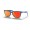 Oakley Frogskins 35th Anniversary Sunglasses Primary Blue Frame Prizm Ruby Lens