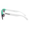 Oakley Frogskins Lite Origins Collection Sunglasses Matte Celeste Frame Prizm Jade Lens