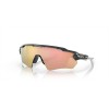 Oakley Radar EV XS Path Youth Fit Heritage Colors Collection Sunglasses Carbon Frame Prizm Rose Gold Lens