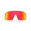 Oakley Sutro Troy Lee Designs Series Sunglasses Troy Lee Designs Red Gold Shift Frame Prizm Ruby Lens
