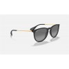 Ray Ban Erik Collection Online Exclusives RB3016 Sunglasses Grey Black