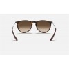 Ray Ban Erika Classic Low Bridge Fit RB4171 Sunglasses + Tortoise Frame Brown Lens
