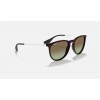 Ray Ban Erika Classic RB4171 Sunglasses + Black Frame Brown Lens