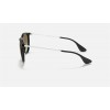 Ray Ban Erika Classic RB4171 Sunglasses + Black Frame Brown Lens
