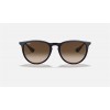 Ray Ban Erika Classic RB4171 Sunglasses + Blue Frame Brown Lens