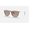 Ray Ban Erika Classic RB4171 Sunglasses + Brown Frame Brown/Violet Lens