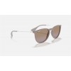 Ray Ban Erika Classic RB4171 Sunglasses + Brown Frame Brown/Violet Lens