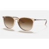 Ray Ban Erika Color Mix Low Bridge Fit RB4171 Sunglasses + Shiny Transparent Brown Frame Brown Lens