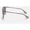 Ray Ban Erika Color Mix Low Bridge Fit RB4171 Sunglasses + Shiny Transparent Grey Frame Grey Lens