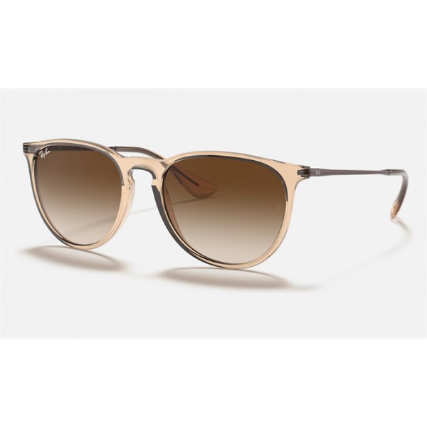 Ray Ban Erika Color Mix RB4171 Sunglasses + Shiny Transparent Brown Frame Brown Lens