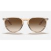Ray Ban Erika Color Mix RB4171 Sunglasses + Shiny Transparent Brown Frame Brown Lens