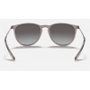 Ray Ban Erika Color Mix RB4171 Sunglasses + Shiny Transparent Grey Frame Grey Lens