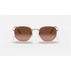 Ray Ban Hexagonal Flat Lenses RB3548 Sunglasses + Bronze-Copper Frame Brown Lens