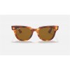 Ray Ban Meteor Classic RB2168 Sunglasses Striped Havana Frame Brown Solid Lens