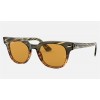 Ray Ban Meteor Striped Havana RB2168 Sunglasses Striped Green Gradient Brown Frame Yellow Washed Lens