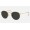 Ray Ban Round Metal Classic RB3447 Sunglasses Polarized Classic + Shiny Gold Frame Black Lens