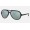 Ray Ban Scuderia Ferrari Collection RB4125 Sunglasses Silver Flash Black