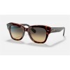 Ray Ban State Street RB2186 Sunglasses Brown Gradient Pink Tortiose