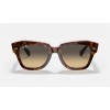 Ray Ban State Street RB2186 Sunglasses + Pink Tortiose Frame Brown/Blue Lens