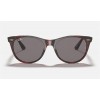 Ray Ban Wayfarer II Collection RB2185 Sunglasses Grey Classic Transparent Red