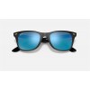 Ray Ban Wayfarer Liteforce RB4195 Sunglasses Black Frame Blue Lens